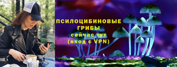 ГАЛЛЮЦИНОГЕННЫЕ ГРИБЫ Мегион