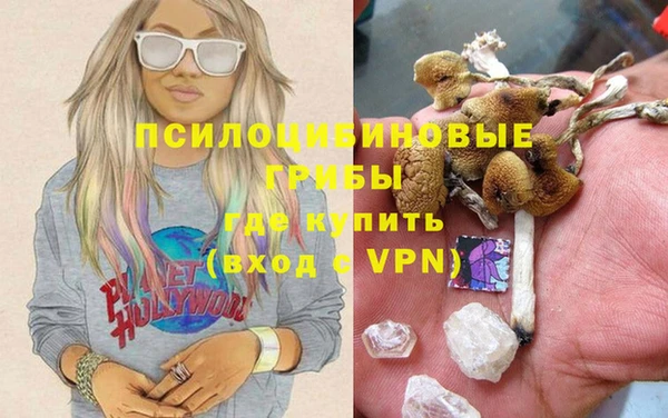СК Медногорск