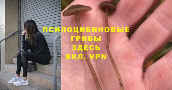 амфетамин Медвежьегорск