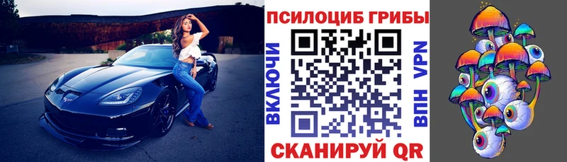 Галлюциногенные грибы Psilocybine cubensis  shop наркотические препараты  Новая Усмань  mega маркетплейс 